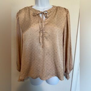 Long Sleeve Blouse with bubble sleeves